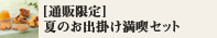 夏のお出掛け満喫セット