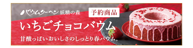 ［予約商品］いちごチョコバウム