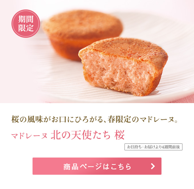 マドレーヌ北の天使たち 桜