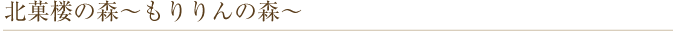 北菓楼の森~もりりんの森~