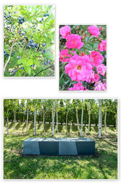 北菓楼本店 もりりんの森 植花風景